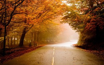 Navigating Through Fall: The Leading Causes of Car Accidents in Louisiana