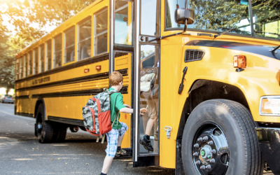 Understanding School Bus Safety and Your Rights in Louisiana